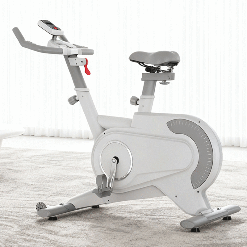 Vélo de Spinning Pro en Acier