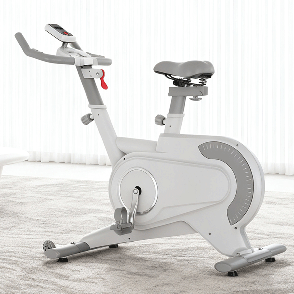 55 Vélo de Spinning Pro en Acier